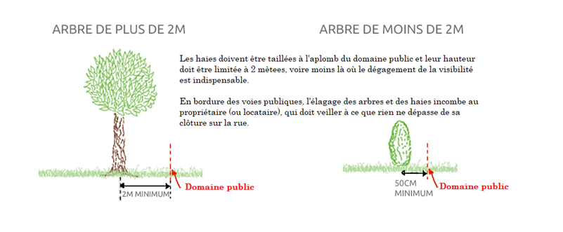 Taille des haies, hauteur des arbres sur les voies publiques 